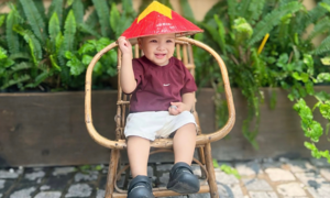Gom noãn để thụ tinh ống nghiệm