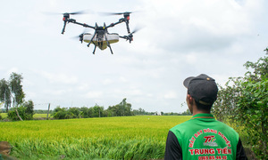 9x mê lái drone canh tác lúa