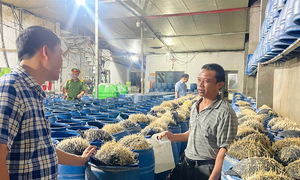 Ba người bị khởi tố vì bán 350 tấn giá đỗ ngâm 'nước kẹo'