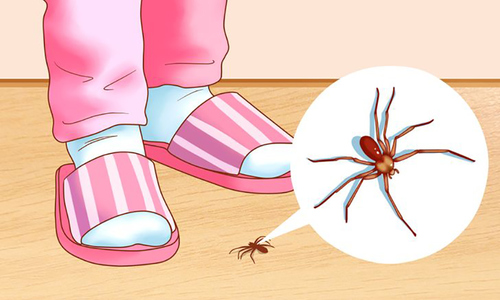 8 mẹo đuổi côn trùng an toàn trong mùa hè