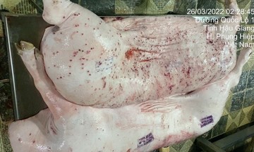 Đại diện C.P.: Hình ảnh 'tố' heo bệnh là thật