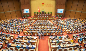 Không giới thiệu ứng cử người đứng đầu cơ quan để xảy ra tham nhũng