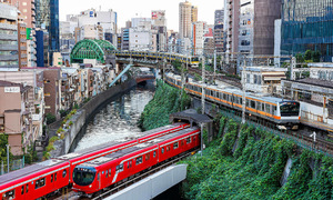 Tokyo phát động chiến dịch chống sàm sỡ trên tàu điện
