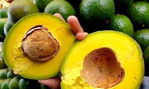 5 món có lợi cho người tiểu đường ngày nóng