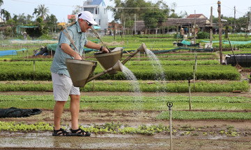 Việt Nam trong top 5 điểm khách châu Âu thích nhất hè