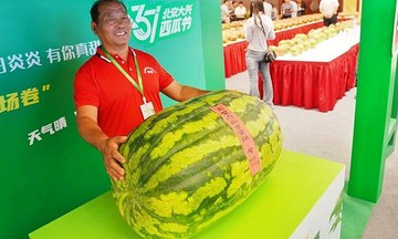 Người đàn ông trồng được quả dưa hấu gần 100 kg