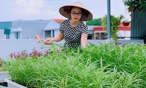 Vợ chồng làm vườn rau sạch sân thượng sau lần ngộ độc