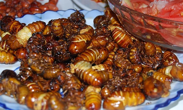 Sốc phản vệ sau khi ăn ve sầu chiên giòn