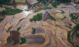 Ruộng bậc thang Y Tý mùa đổ nước