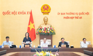 Chủ hộ kinh doanh bị thu BHXH sai được hưởng lương hưu