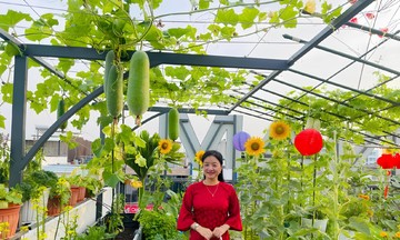 Khu vườn sân thượng 'như tranh vẽ' của người phụ nữ Đồng Nai
