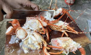 Bơm thạch rau câu 'biến' tôm hùm chết thành tươi