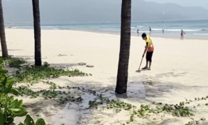 Resort bị phạt hơn 220 triệu đồng vì xả thải ra biển