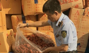 Hà Nội tạm giữ hơn 4 tấn táo đỏ nhập lậu