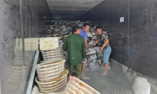 Hơn 25 tấn mực, chân gà bốc mùi bị tiêu hủy