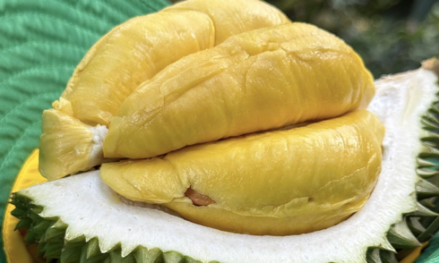 Đề xuất ứng dụng AI kiểm soát tồn dư hóa chất trong sầu riêng