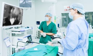 Khối u hình móng ngựa xâm chiếm thực quản