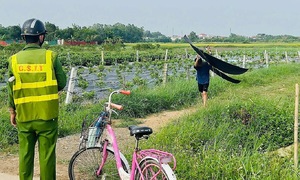 Phát hiện diều khi máy bay đang hạ cánh ở Nội Bài