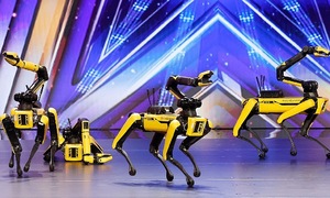 Đàn chó robot nhảy ở America's Got Talent