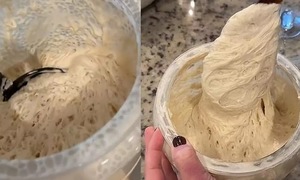 Người trẻ Trung Quốc nuôi men làm 'thú cưng'