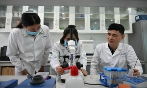 Bào tử lợi khuẩn dạng xịt trong chăm sóc sức khỏe hô hấp