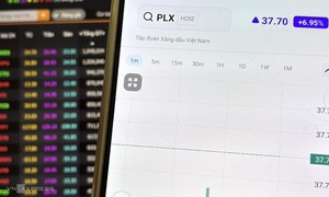 Cổ phiếu dầu khí ngược dòng thị trường