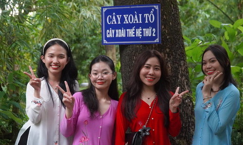 Cây 'xoài tổ' ở Đồng Tháp cho một tấn trái mỗi năm