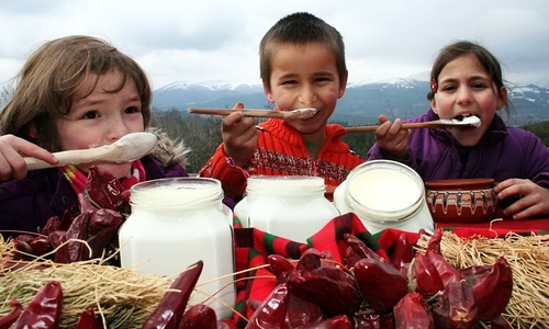 Bí mật về loại sữa chua kéo dài tuổi thọ của người Bulgaria