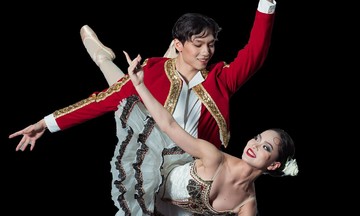 Lần đầu công diễn ballet 'Don Quixote' tại Việt Nam