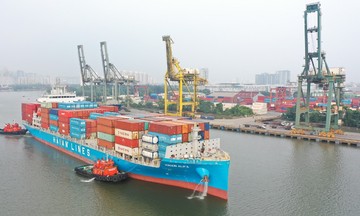 Chủ tịch, tổng giám đốc Viconship muốn tham gia HĐQT hãng tàu Hải An