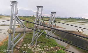 Hàng loạt cột điện gãy đổ sau cơn giông