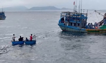 11 người được cứu khi tàu chìm gần đảo Lý Sơn
