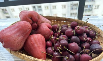 5 món người bệnh trĩ nên ăn thường xuyên