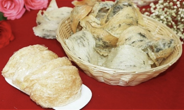 Phân biệt yến sào thật - giả