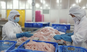 Thêm 6 doanh nghiệp cá tra được miễn thuế khi xuất sang Mỹ