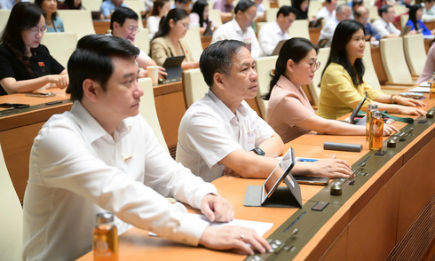 VKS được khởi kiện vụ án dân sự để 'bảo vệ nhóm dễ tổn thương'