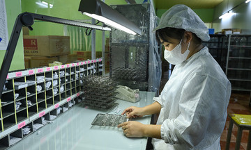 PwC: Doanh nghiệp Việt đang 'chuyển đổi toàn diện'