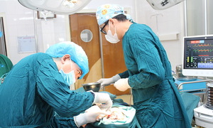 Hàng chục con giòi trong gò má người đàn ông
