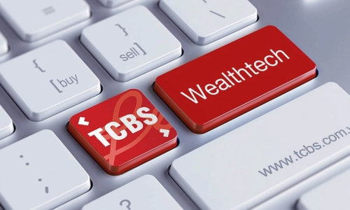 Công ty chứng khoán lớn nhất Việt Nam chuẩn bị IPO