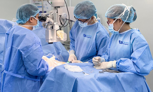 Phẫu thuật tìm tinh trùng cho thanh niên rối loạn nhiễm sắc thể