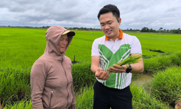 Phân bón Phú Mỹ - chìa khóa cho đất khỏe, cây xanh và nông nghiệp bền vững
