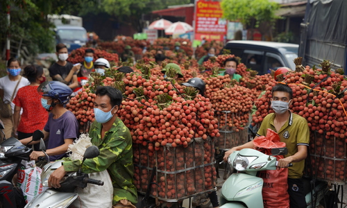 Nhiều nông sản lao dốc, nông dân bị giảm lợi nhuận