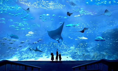 Three new attractions coming soon to Singapore