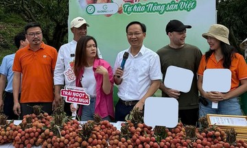 Phó chủ tịch Bắc Ninh livestream bán 54 tấn vải trong 6 giờ