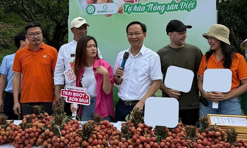 Phó chủ tịch Bắc Ninh livestream bán 54 tấn vải trong 6 giờ
