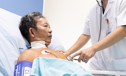 Nguy kịch sau khi bị ong vò vẽ tấn công