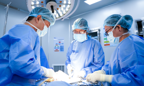 15 uterine fibroids removed from a patient's uterus