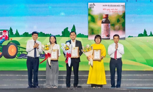 28 Ho Chi Minh City agricultural products achieve 4-star OCOP status