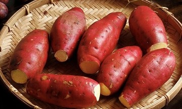 Ăn khoai lang thế nào tốt cho người đái tháo đường