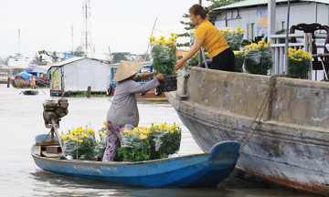 Cần Thơ hút hơn 4 triệu lượt khách nửa đầu năm